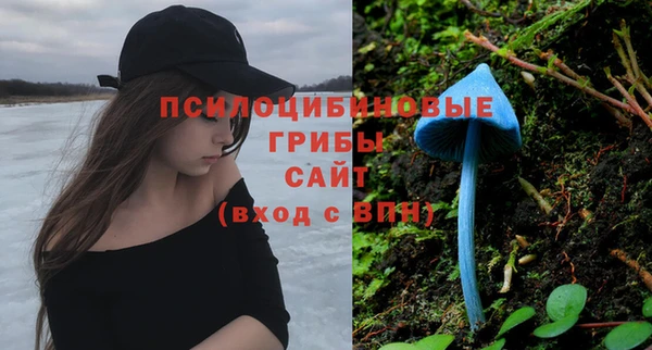 бошки Арсеньев