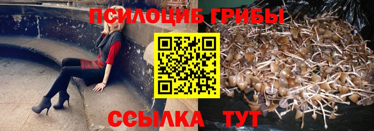 Кондопога  Псилоцибиновые грибы мухоморы  Вход с VPN  Псилоцибиновые грибы GOLDEN TEACHER 
